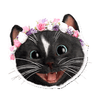 Felini kitty flower power happy cat cat memes Sticker
