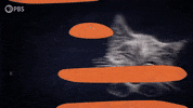 GIF by PBS Digital Studios