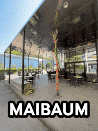 Tree What GIF by Linz News