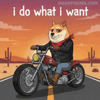Shiba Inu Sunset GIF by Doge Pound