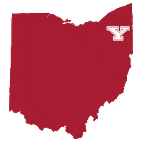 college football home Sticker by Youngstown State University