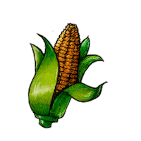 carolgaiaart dnd dd dungeons and dragons corn Sticker