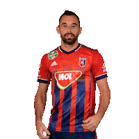 molfehervarfcgif vidi szekesfehervar fehervar molfehervarfc Sticker