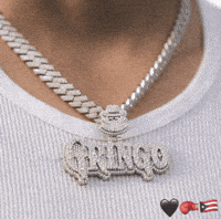 Team Gringo GIF