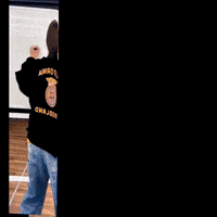 Numberi Frisco GIF