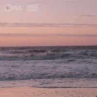 In The Making Beach GIF by American Masters on PBS