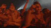 loop festival GIF by Pukkelpop