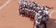 World Series Softball GIF by NCAA Championships