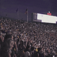Lsu Football Lsufb19 GIF by LSU Tigers