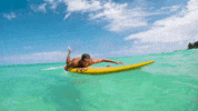 let's go swimming GIF by Great Big Story