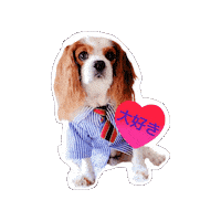 Cavalierkingcharlesspaniel Sticker
