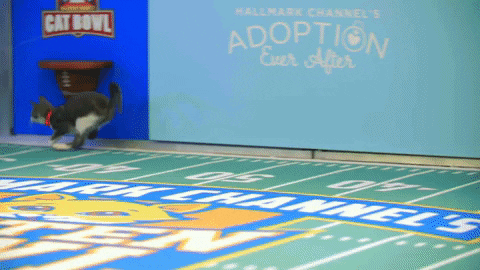 Football Playing GIF by Hallmark Channel