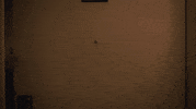 lily rabe GIF by Miss Stevens