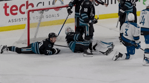 Save San Jose GIF by San Jose Barracuda