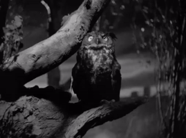 Black And White Horror GIF by Warner Archive