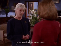 season 2 netflix GIF by Gilmore Girls 