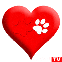 Pets Corazon Sticker by CANIGAT