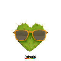 Sunglasses Love Sticker by Polaroid Eyewear