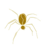 Spider Itsy Bitsy Sticker