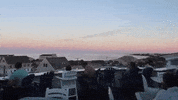 rhode island GIF
