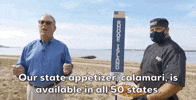 Rhode Island Calamari GIF by Election 2020