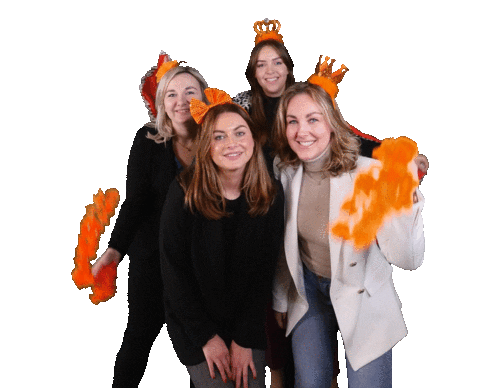 VanSpronsenMakelaars giphyupload van spronsen van spronsen makelaar makelaar hendrik ido ambacht Sticker