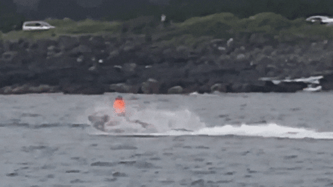 7b206a4cb998427e91c9b8128743cc78 giphyupload GIF