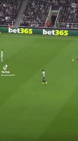 neilputley newcastle nufc bdb big dan burn GIF