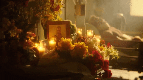 Season 4 Wrestling GIF by DARK SIDE OF THE RING