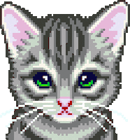 meow GIF