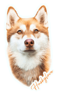 Dogs Woof Sticker by chubbycheekscrew