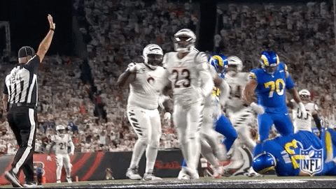 National Football League GIF by NFL