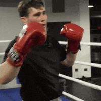 fight ufc GIF by Gymshark