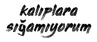 varim iyikivarim Sticker