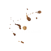 Coffee Shop Sticker by coffeekult