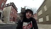 Cat Bike GIF