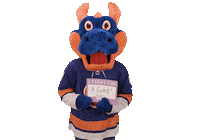 Nhl Isles Sticker by New York Islanders