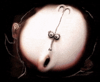 Horror Shock GIF by Alex Boya