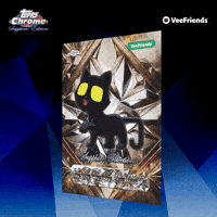 Collect Black Cat GIF by VeeFriends