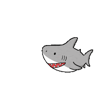 Piratino illustration fish shark hai Sticker
