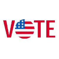 Election 2020 Vote Sticker