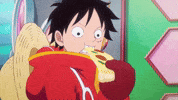 One Piece Law GIF by Toei Animation