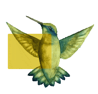 Watercolor Naturaleza Sticker