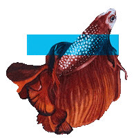 Watercolor Naturaleza Sticker