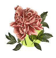 Watercolor Naturaleza Sticker