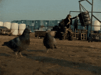 Training Boxing GIF by Monsta X