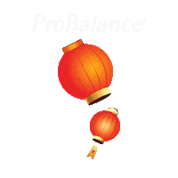 Lantern Gongxifacai Sticker by ProBalance MY