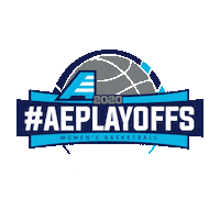 Basketball Aehoops Sticker by America East