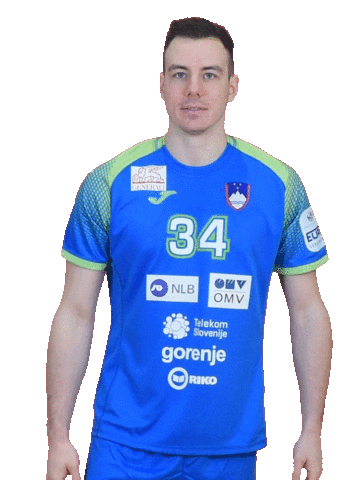 Handball Euro Sticker by Rokometna zveza