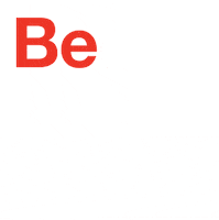 ZverseZShield zverse zshield betheshield Sticker